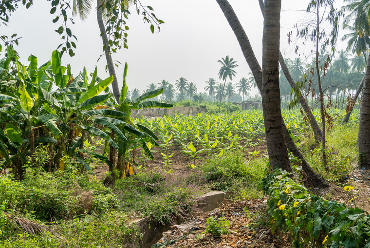India 2014 - Hampi 028.jpg